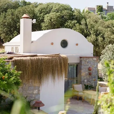 Odette Guest house